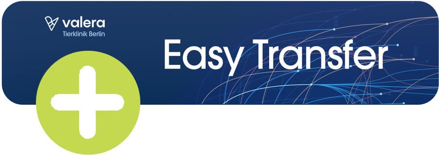 Easy Transfer